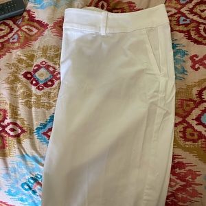 Ann Taylor New curvy shorts